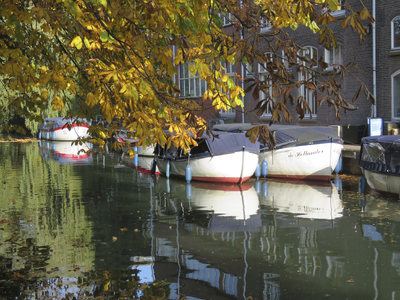 907375 Afbeelding van enkele voor de winter aangemeerde sloepen in de Biltsche Grift, achter het Hooghiemstra ...